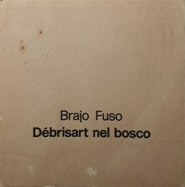 Brajo Fuso: Debrisart nel bosco
