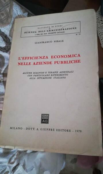 l'efficienza economica nelle aziende pubbliche