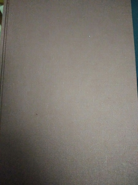 Soliloqui e confessioni di Sant' Agostino