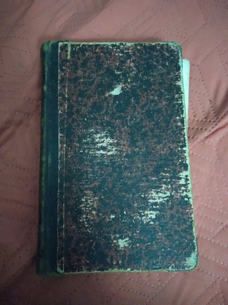 Nuovissima guida dei viaggiatori in Italia