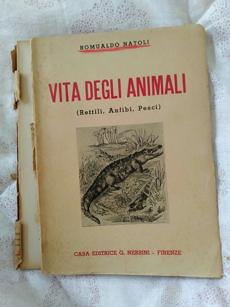 Vita degli animali rettili anfibi pesci