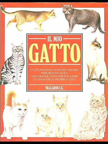 Il mio gatto