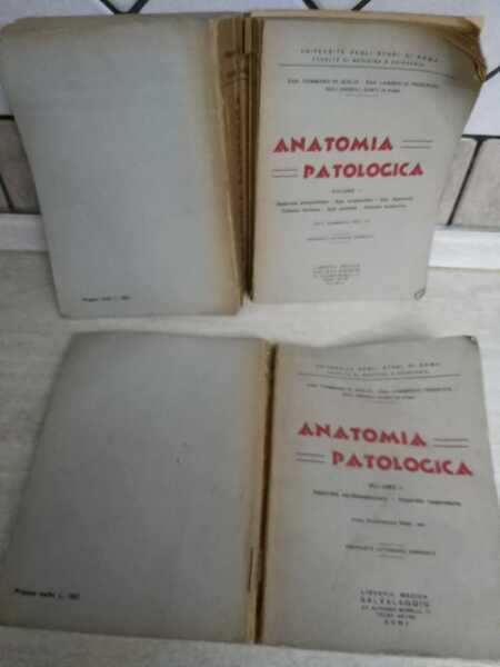 Anatomia patologica