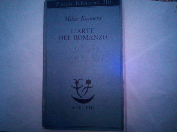 L' arte del romanzo