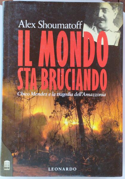 Il mondo sta bruciando