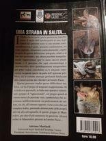 I chirotteri del parco regionale Marturanum