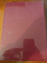 L'apostolo dei lebbrosi