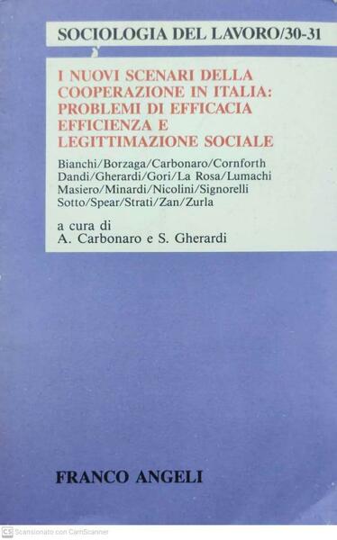 I nuovi scenari della cooperazione in Italia: problemi di efficacia, …
