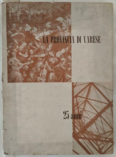 La provincia di Varese: 25 anni