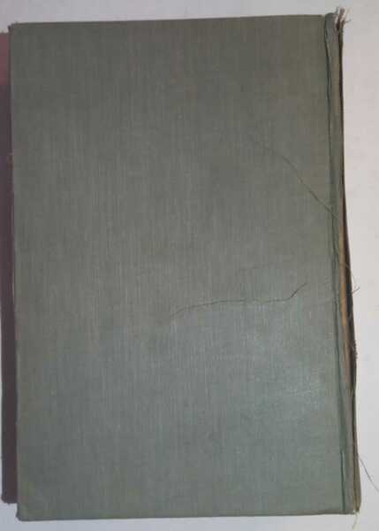 Fundamentals of Economic Geography