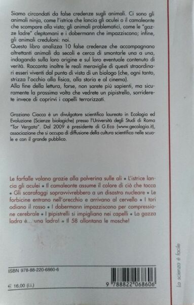 I tori odiano il rosso. 10 false credenze sugli animali