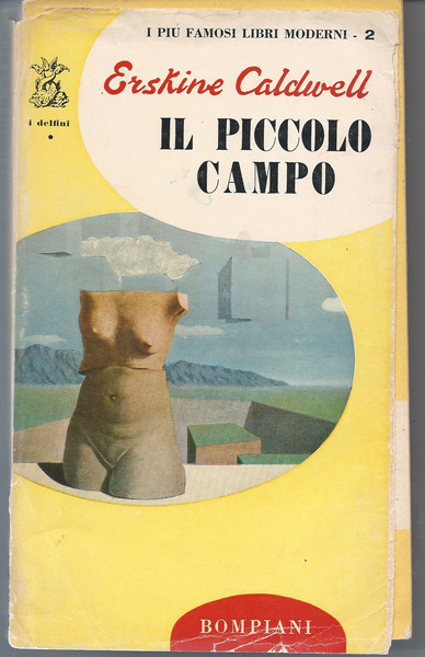 Il piccolo campo