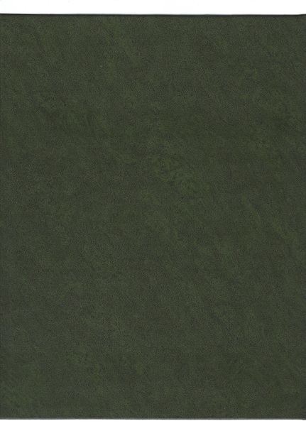 Collezione soldatini di piombo