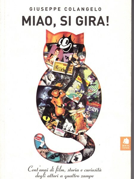 Miao si gira!