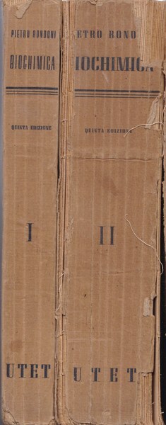 Elementi di Biochimica. I. II.
