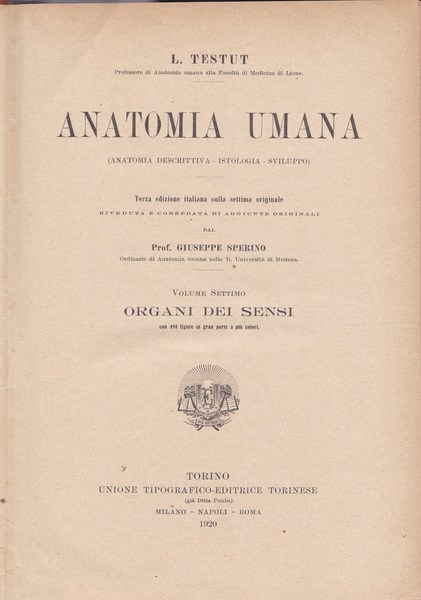 Anatomia umana. VII. Organi dei sensi.