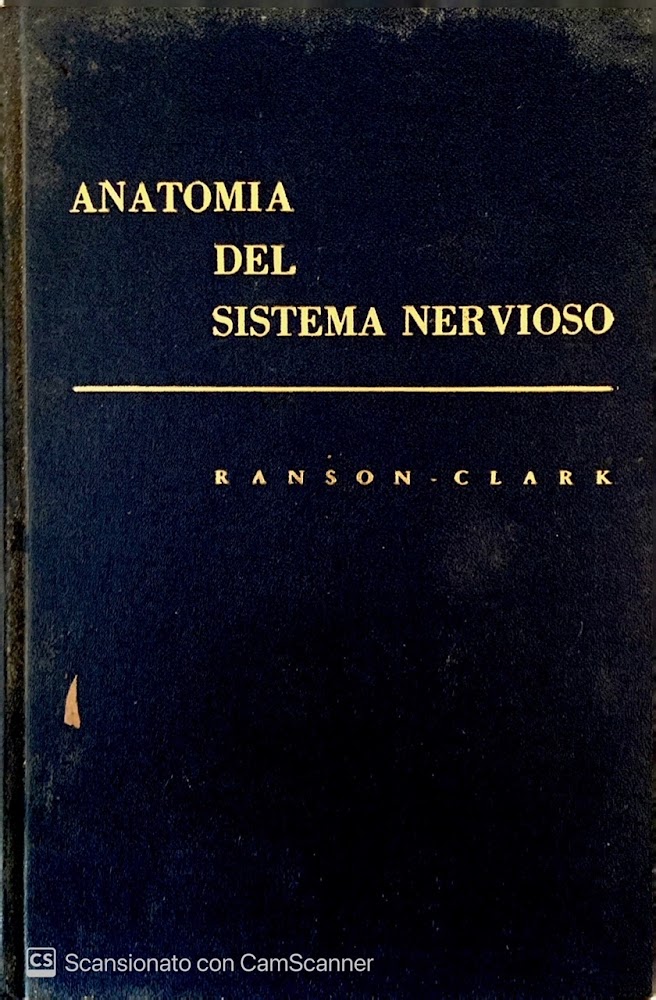 Anatomia del sistema nervioso