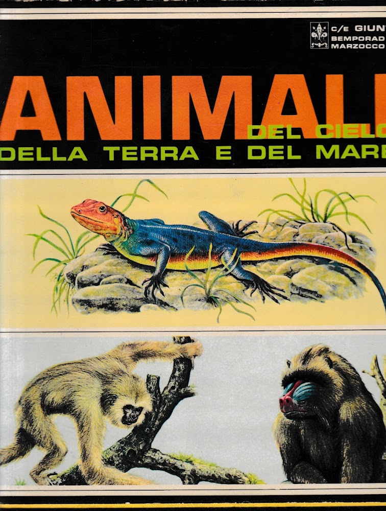 Animali del cielo, della terra e del mare