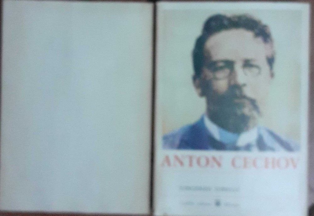 Anton Cechov. Poeta della vita russa