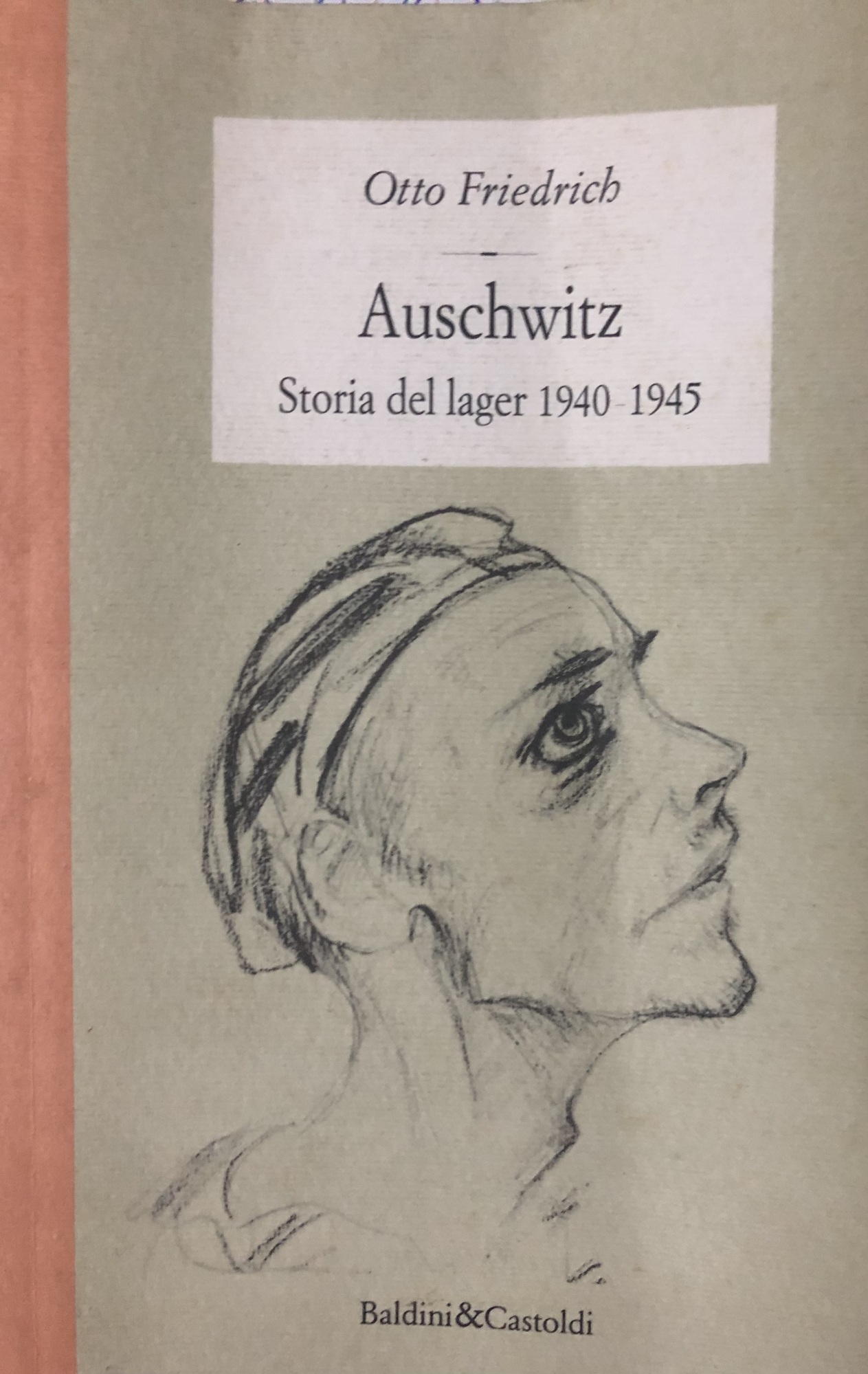 Auschwitz. Storia del lager 1940 - 1945