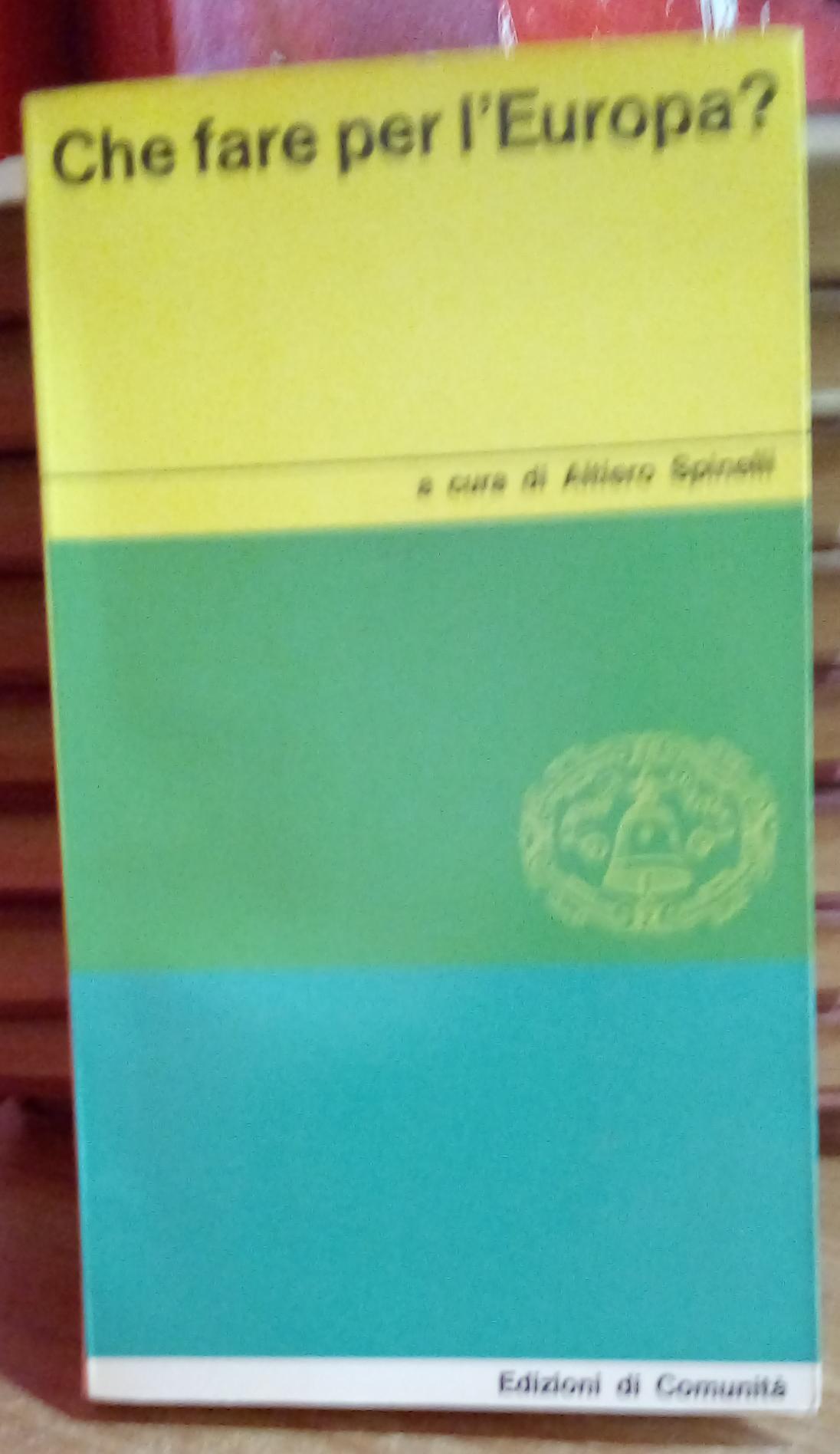 Che fare per l'Europa?