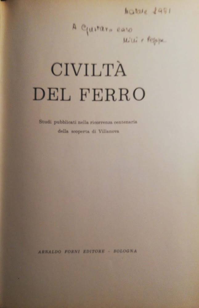 Civiltà del ferro vol. VI