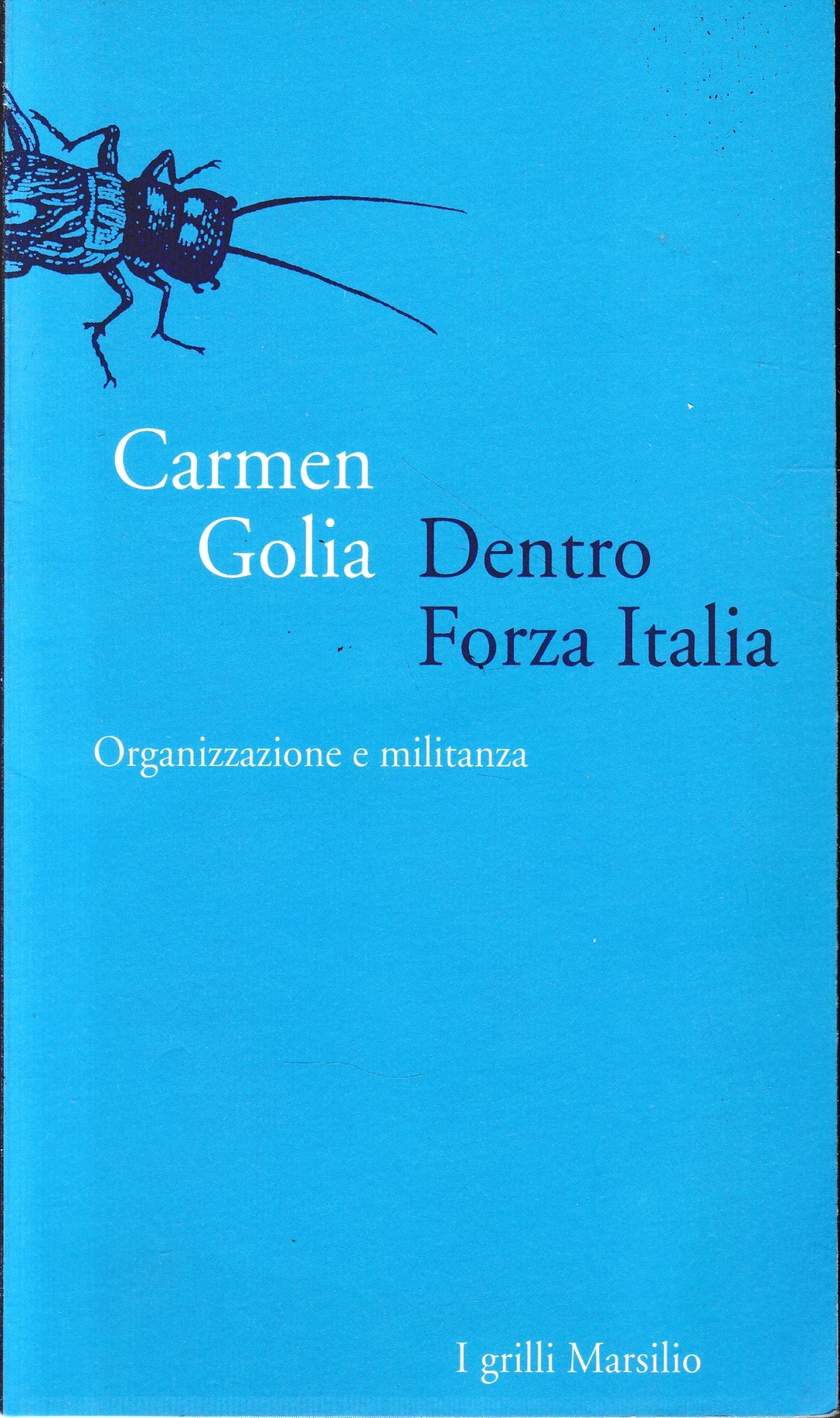 Dentro Forza Italia. Organizzazione e militanza.