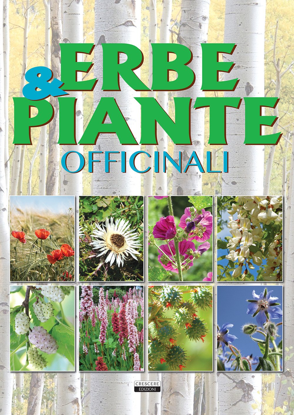 Erbe &amp; piante officinali
