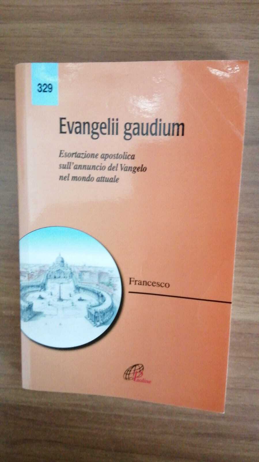 Evangelii gaudium. Esortazione apostolica. L'annuncio del Vangelo nel mondo attuale