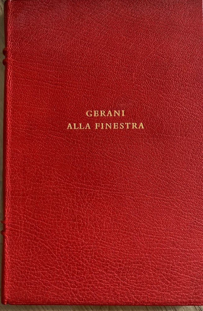 Gerani alla finestra