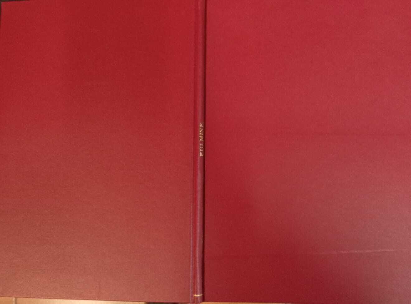 Il caso Brown con Fulmine mascherato.