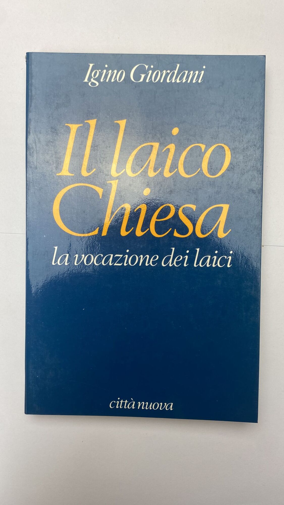 Il laico chiesa. La vocazione dei laici. Pagine scelte