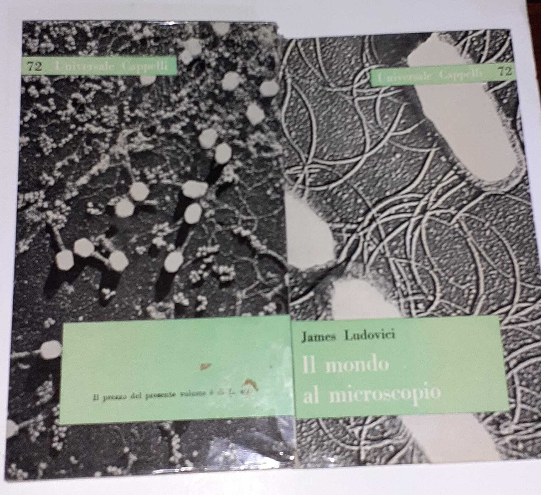 Il mondo al microscopio