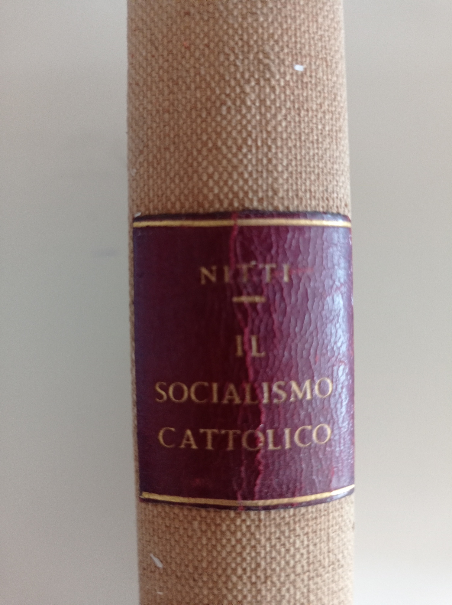 Il Socialismo Cattolico