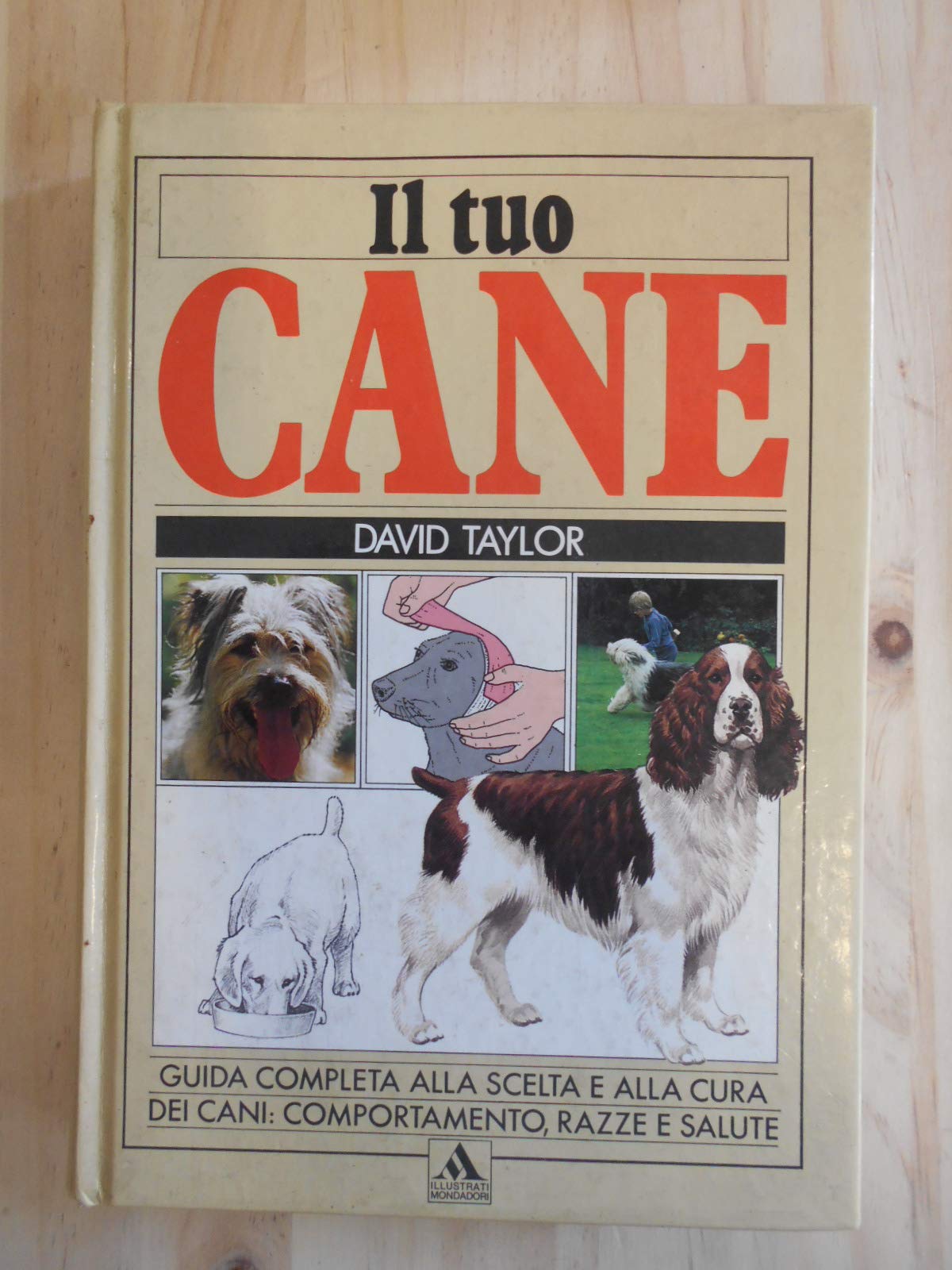 Il tuo cane
