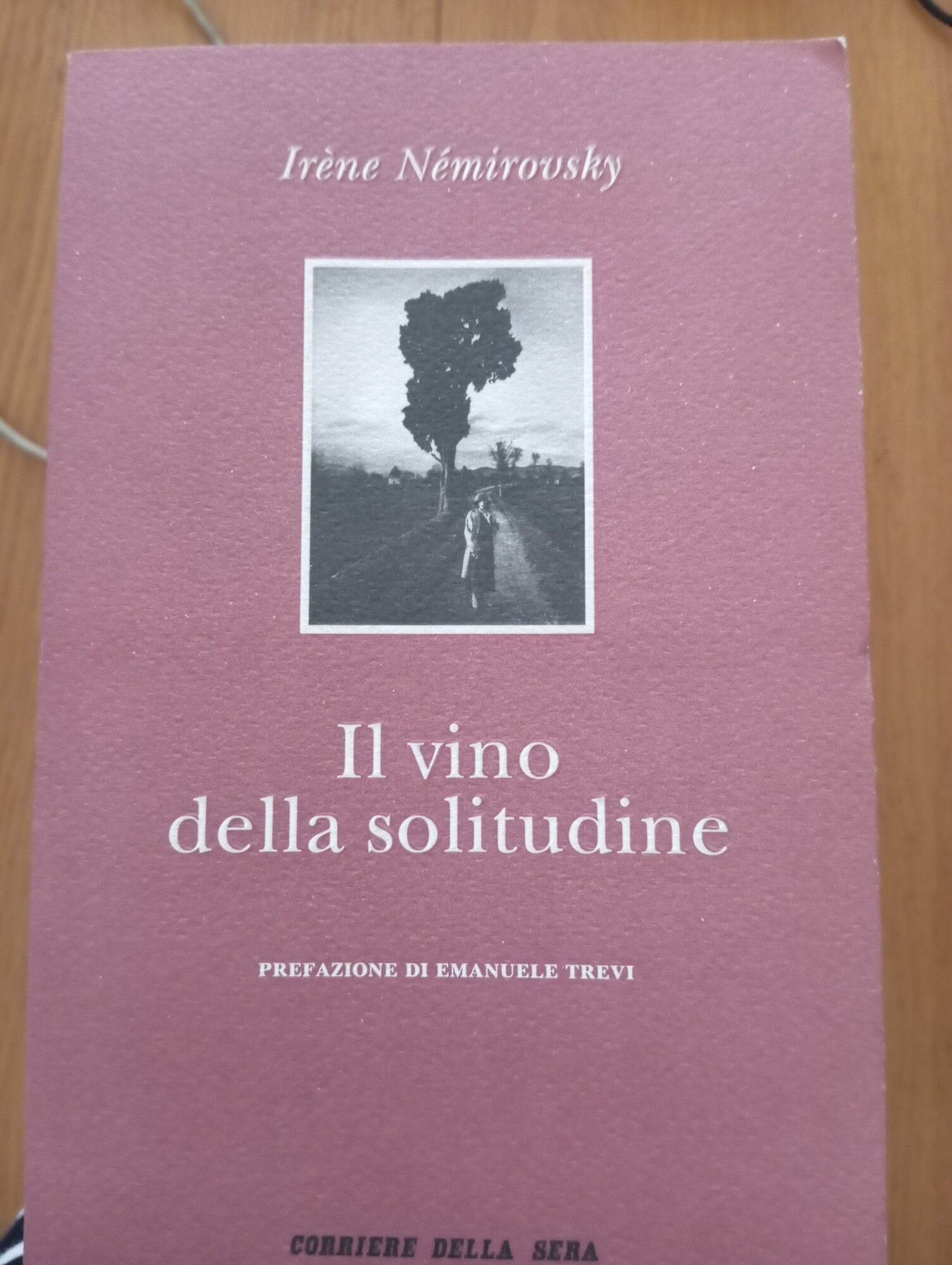 Il vino della solitudine