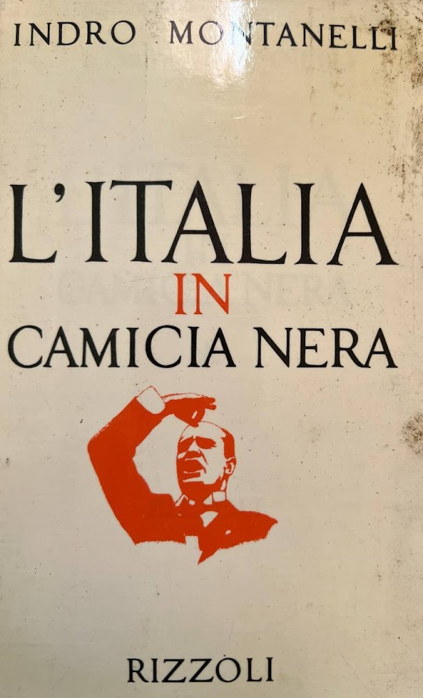 L'Italia in camicia nera