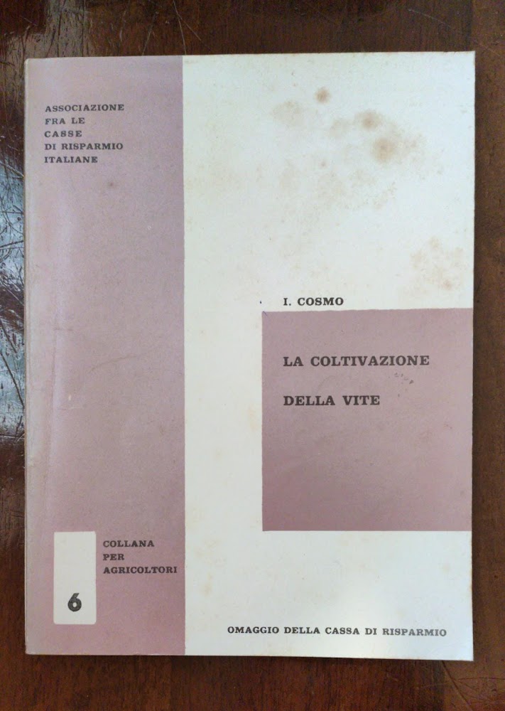 LA COLTIVAZIONE DELLA VITE