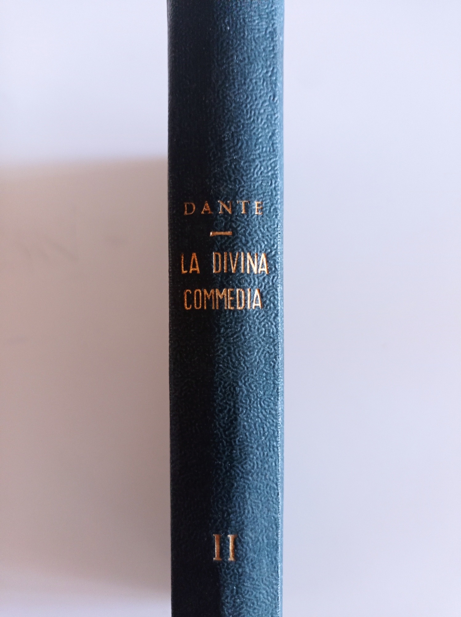 La Divina Commedia - II. Purgatorio