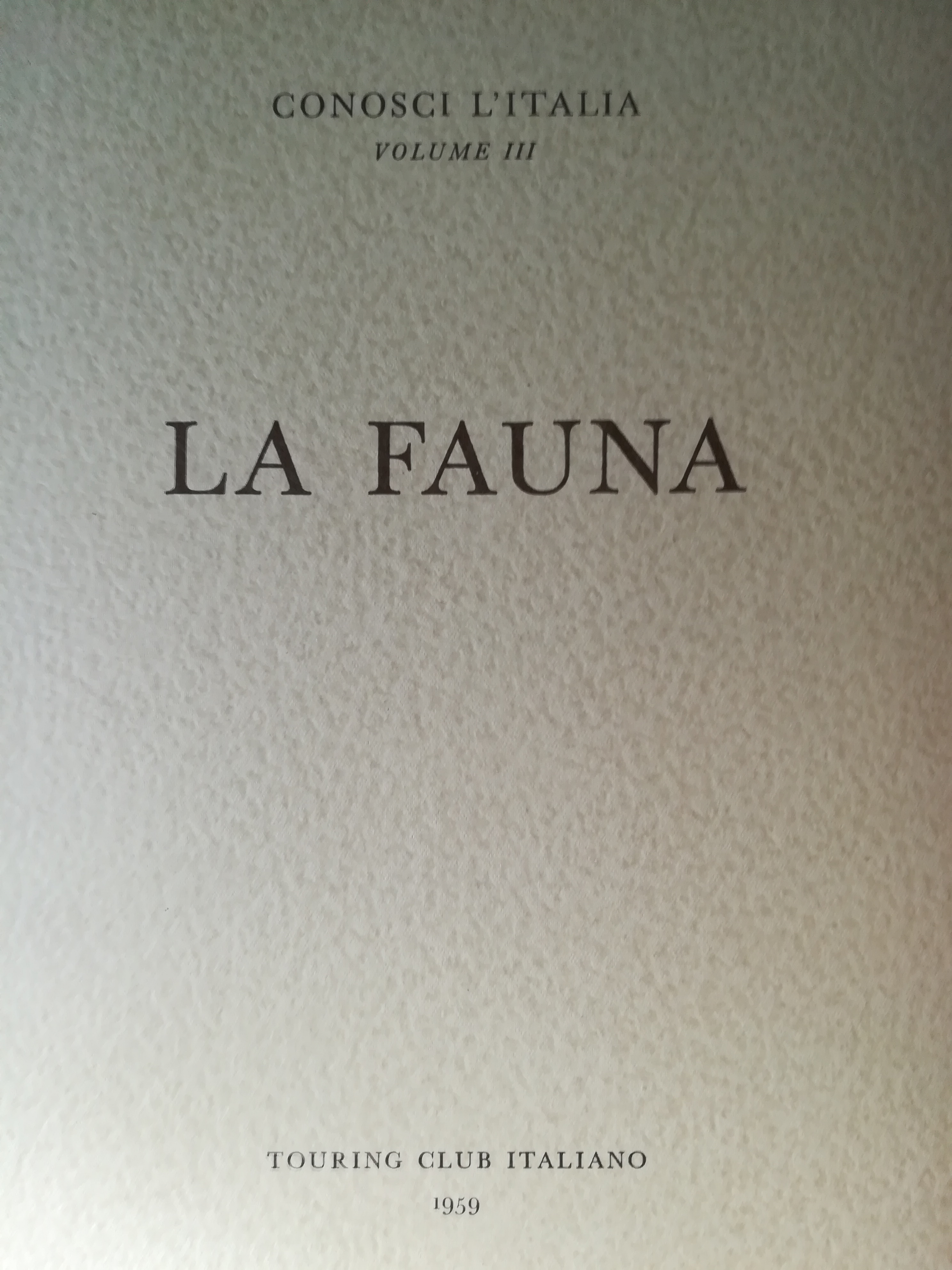 La fauna.