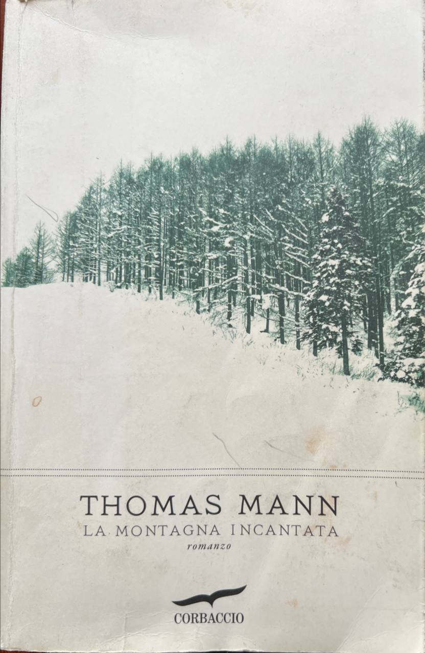 La montagna incantata.