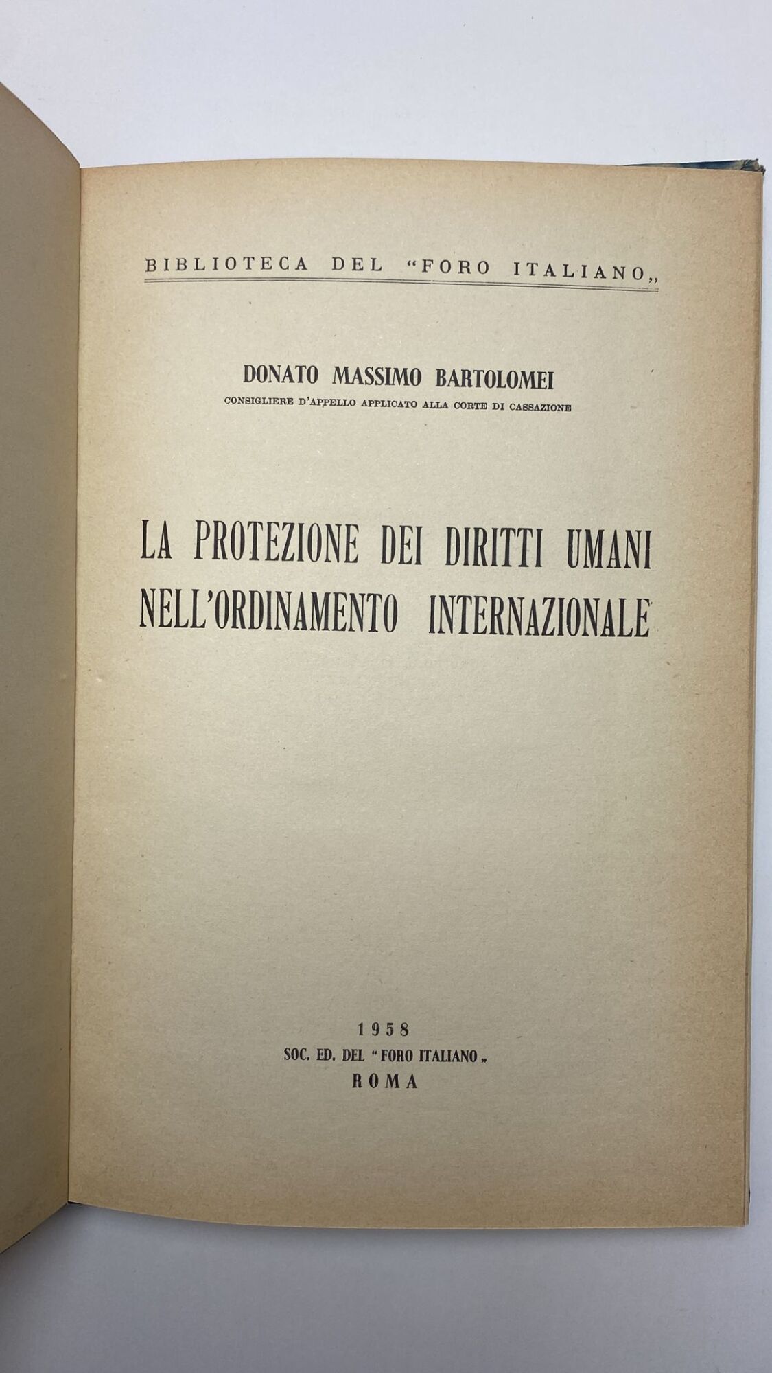 La protezione dei diritti umani nell'ordinamento internazionale