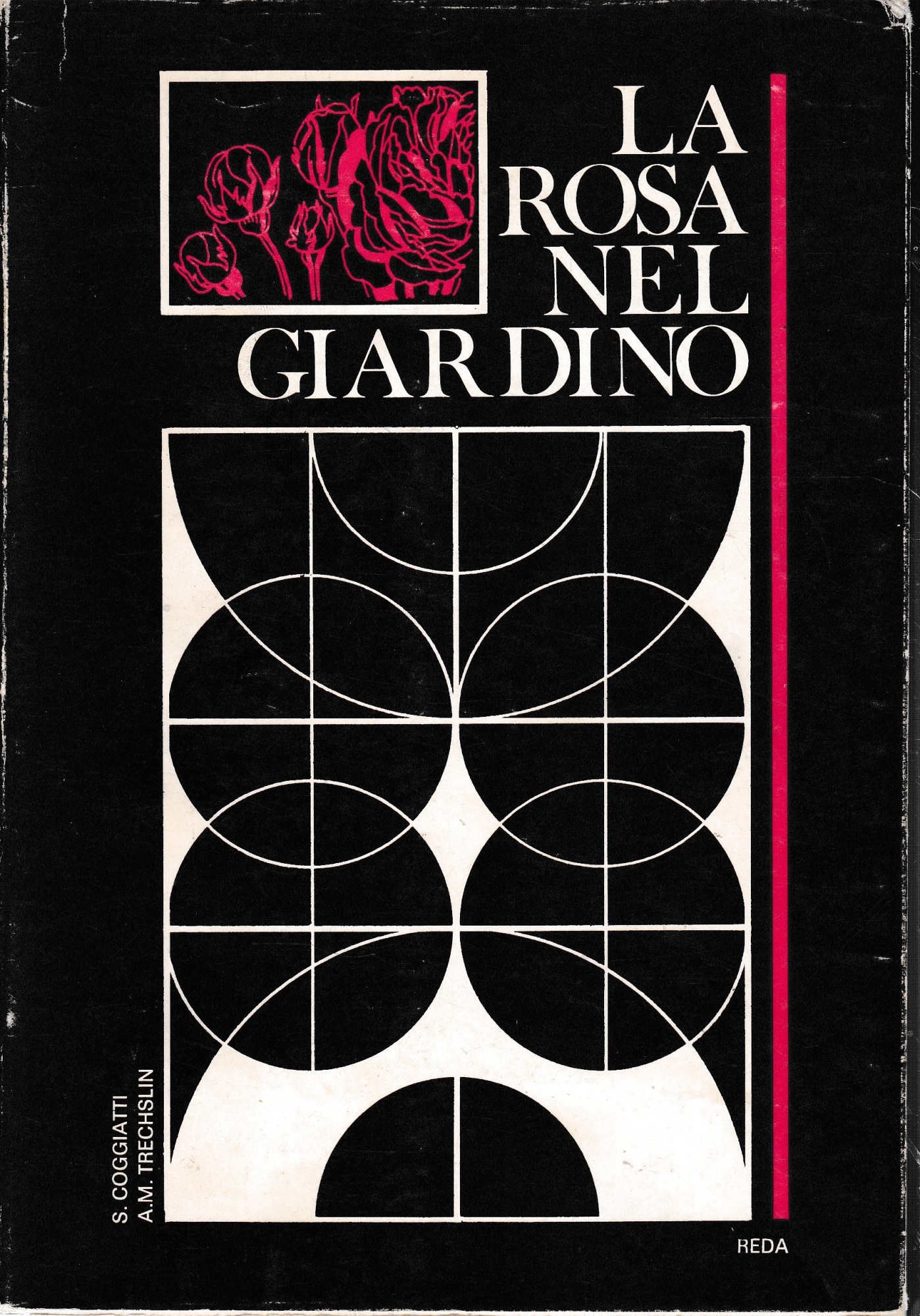 La rosa nel giardino.