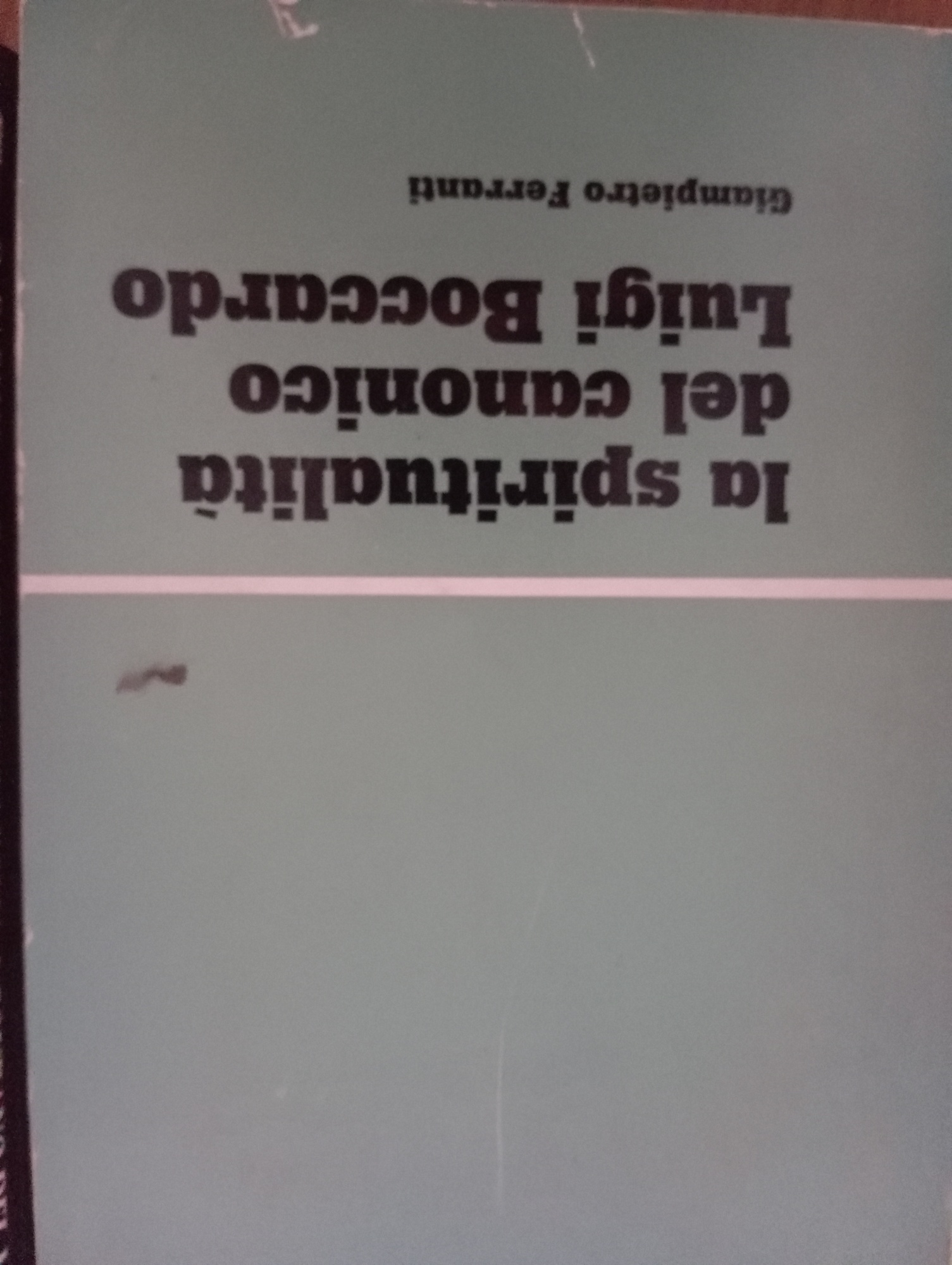 La spiritualità del canonico Luigi Boccardo