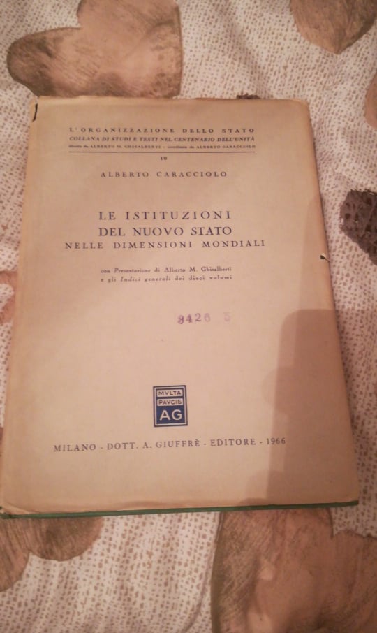 LE ISTITUZIONI DEL NUOVO STATO NELLE DIMENSIONI MONDIALI