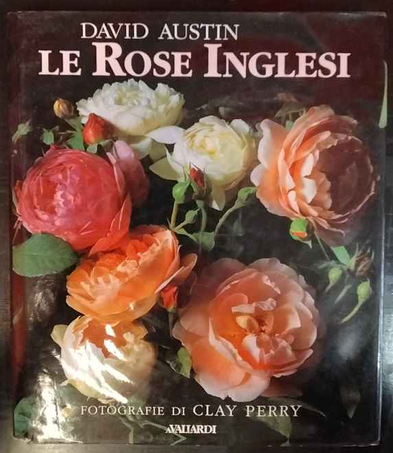 Le rose inglesi