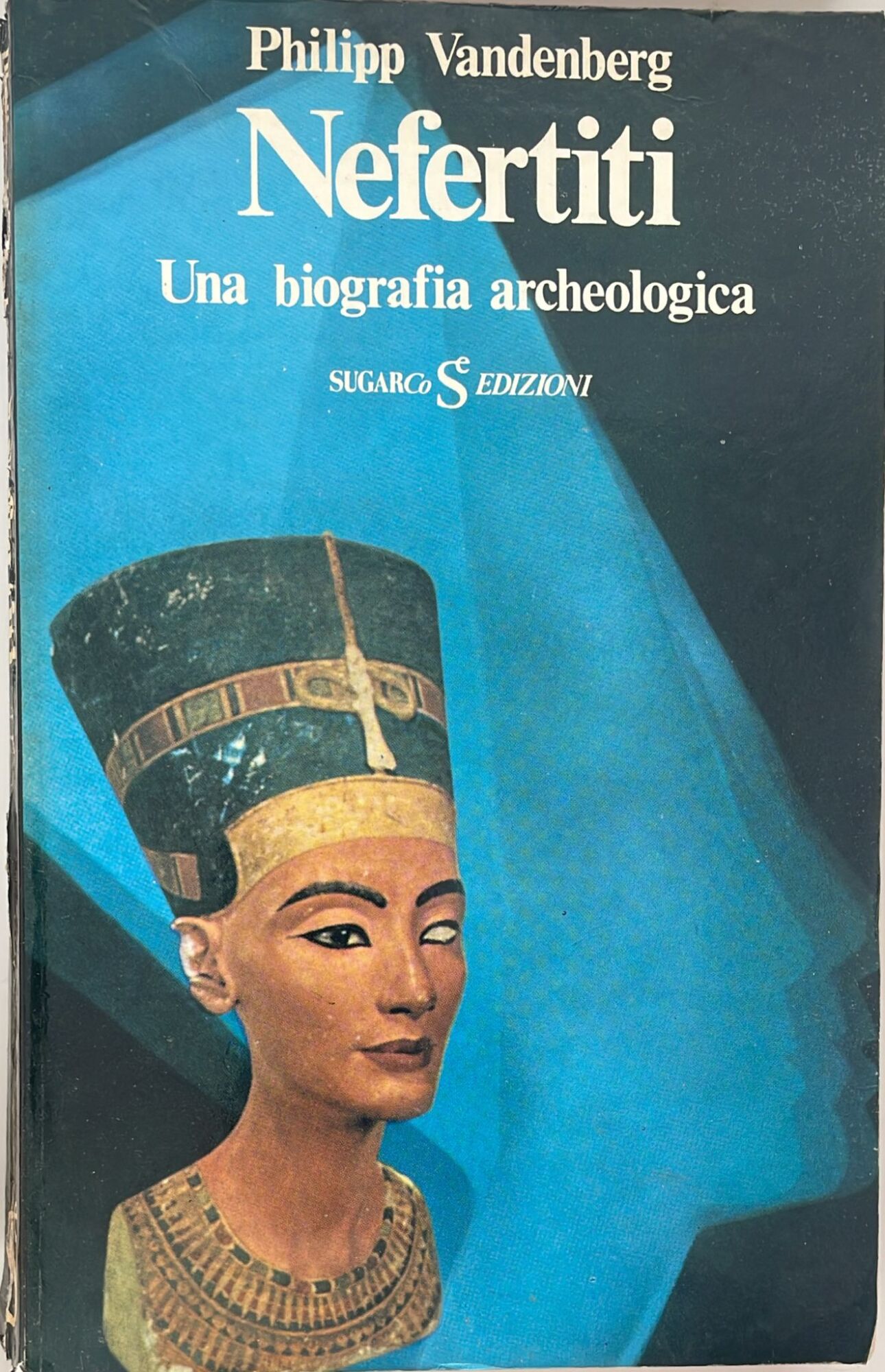 Nefertiti. Una biografia archeologica