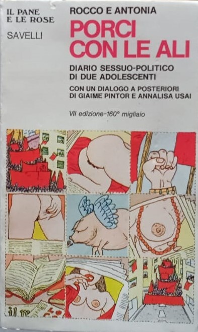 Porci con le ali. Diario sessuo-politico di due adolescenti