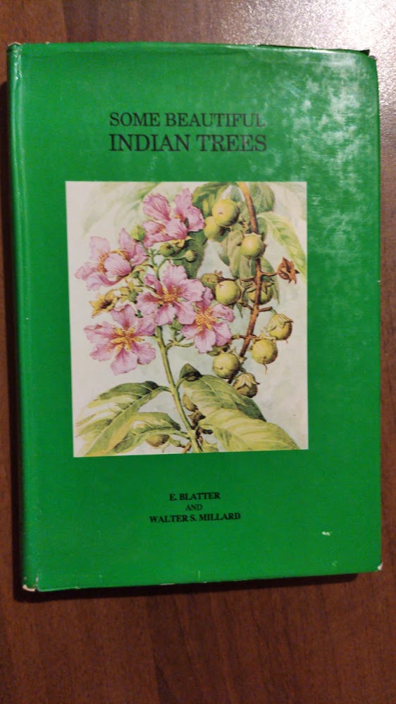 SOME BEAUTIFUL INDIAN TREES