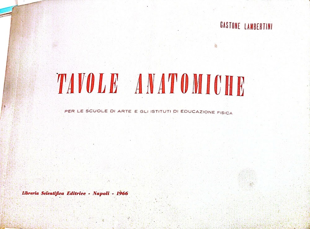 Tavole anatomiche per le scuole di arte e gli istituti …